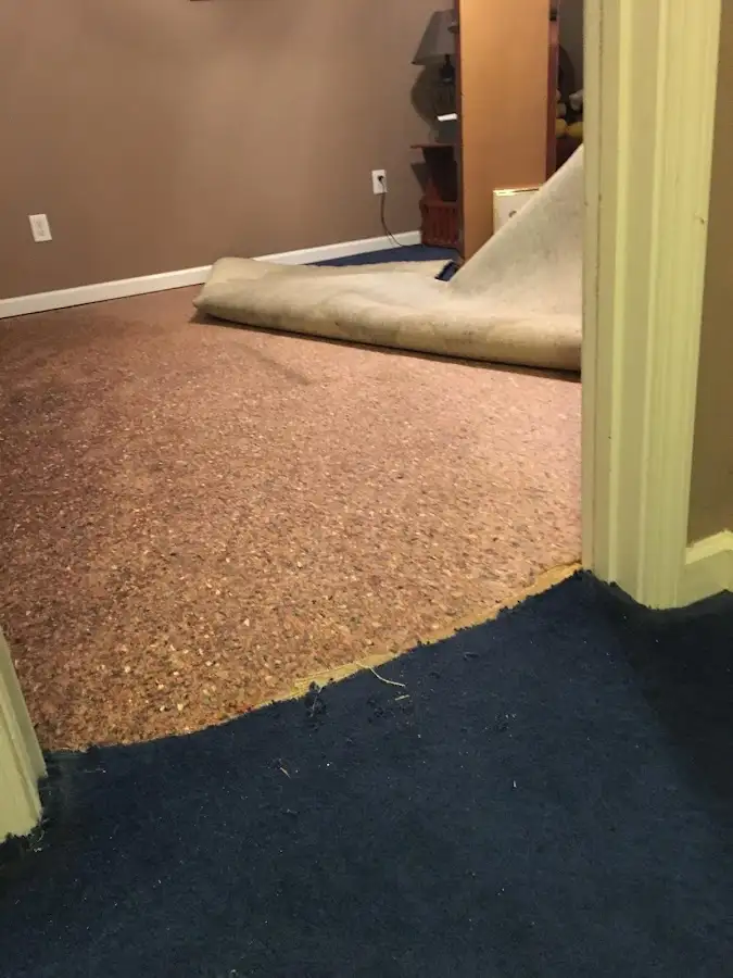 Carpet pad removal revealing water damage during Drying & Dehumidification in Bernardsville