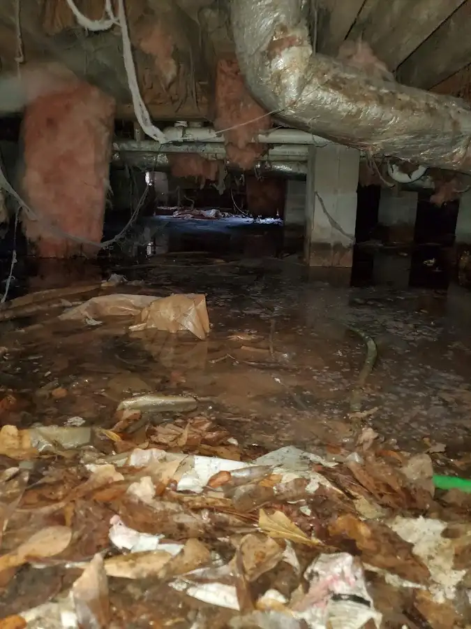 Crawl space flood assessment for Leak Detection & Repair in Bernardsville
